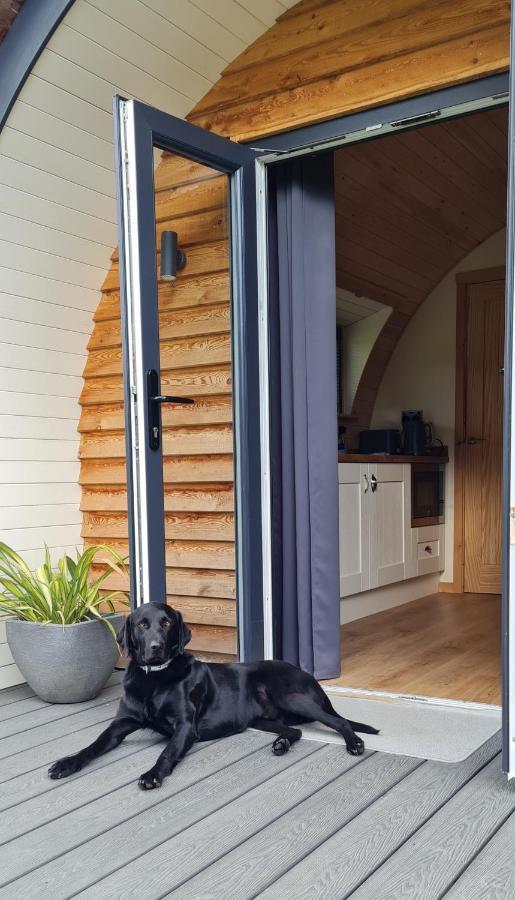 ホテル Habberley Glamping Pods シュルーズベリー エクステリア 写真
